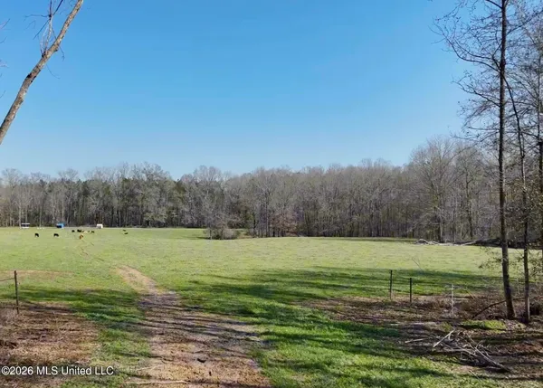 $2,300,000 | 8747 River Road, Natchez, MS 39120