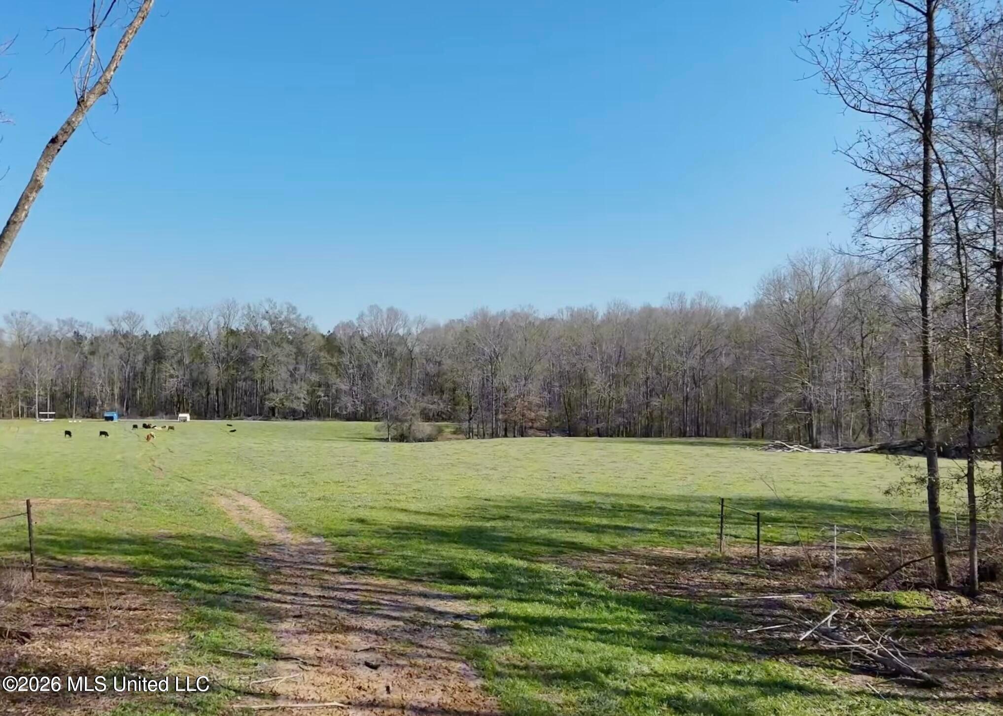 9227 River Road Natchez, MS 39120 - Photo 75 of 97 20260309173939081156000000-o