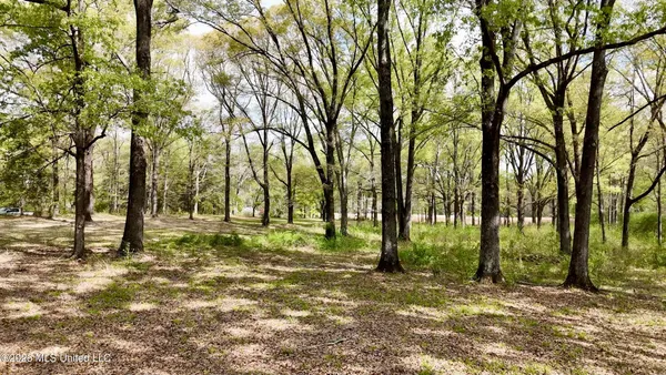 $2,300,000 | 8747 River Road, Natchez, MS 39120
