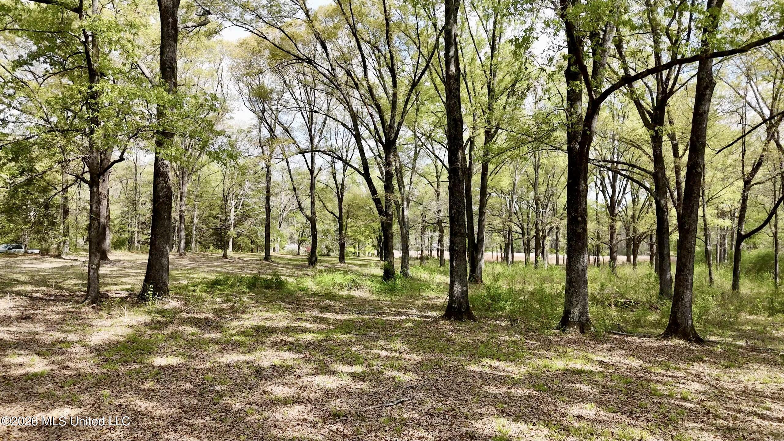 9227 River Road Natchez, MS 39120 - Photo 77 of 97 33084B0B-8229-467D-A3CA-20232D6E168EScre