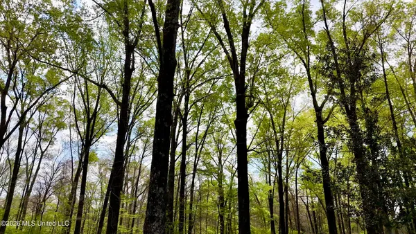 $2,300,000 | 8747 River Road, Natchez, MS 39120
