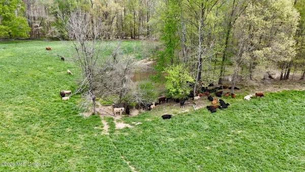 $2,300,000 | 8747 River Road, Natchez, MS 39120