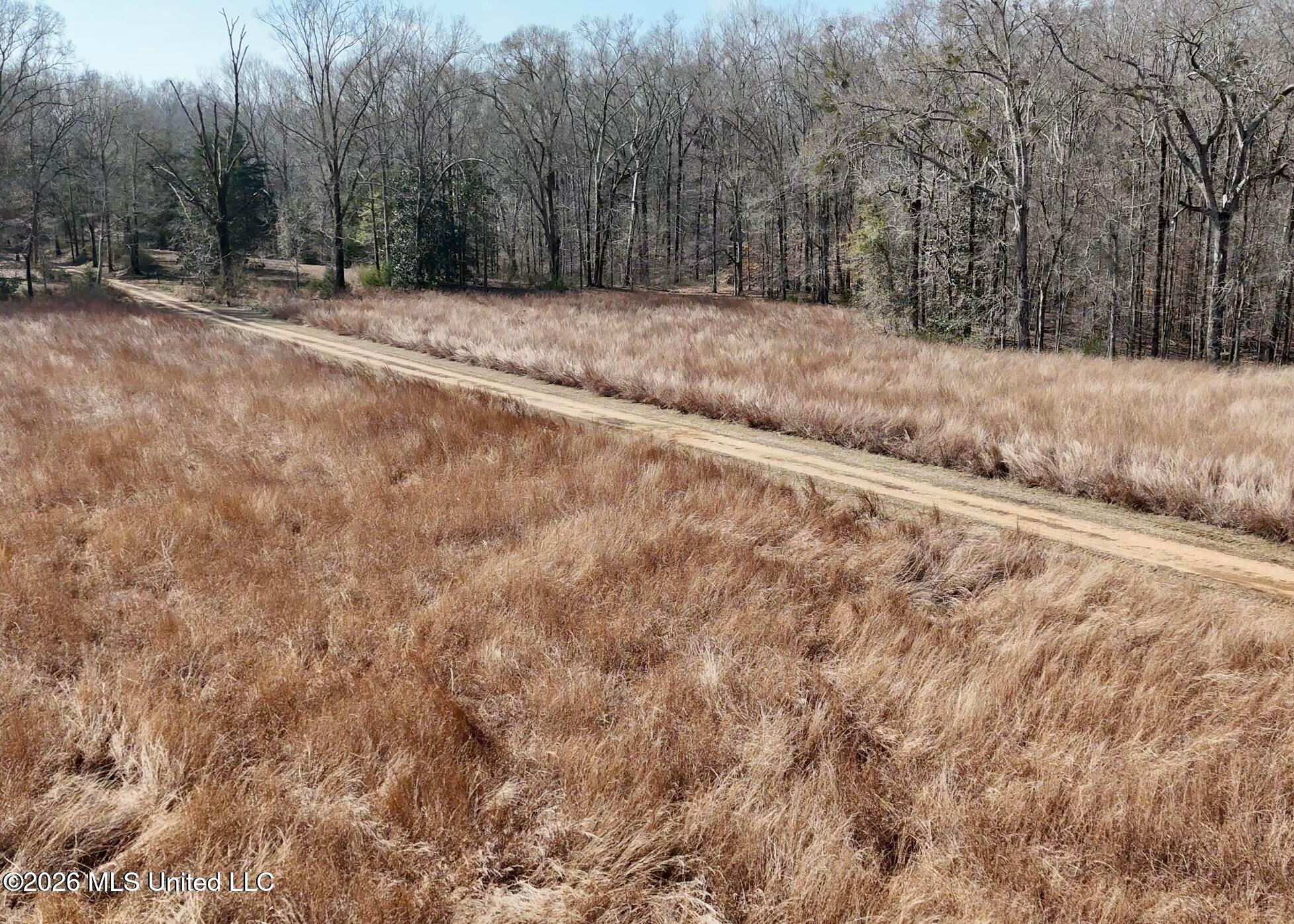 9227 River Road Natchez, MS 39120 - Photo 9 of 97 20260309172847718856000000-o