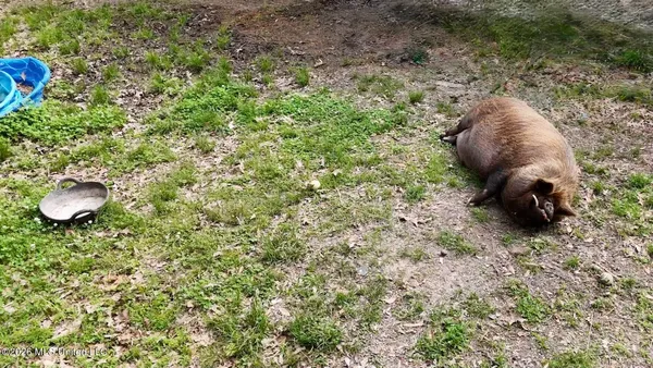 $2,300,000 | 8747 River Road, Natchez, MS 39120