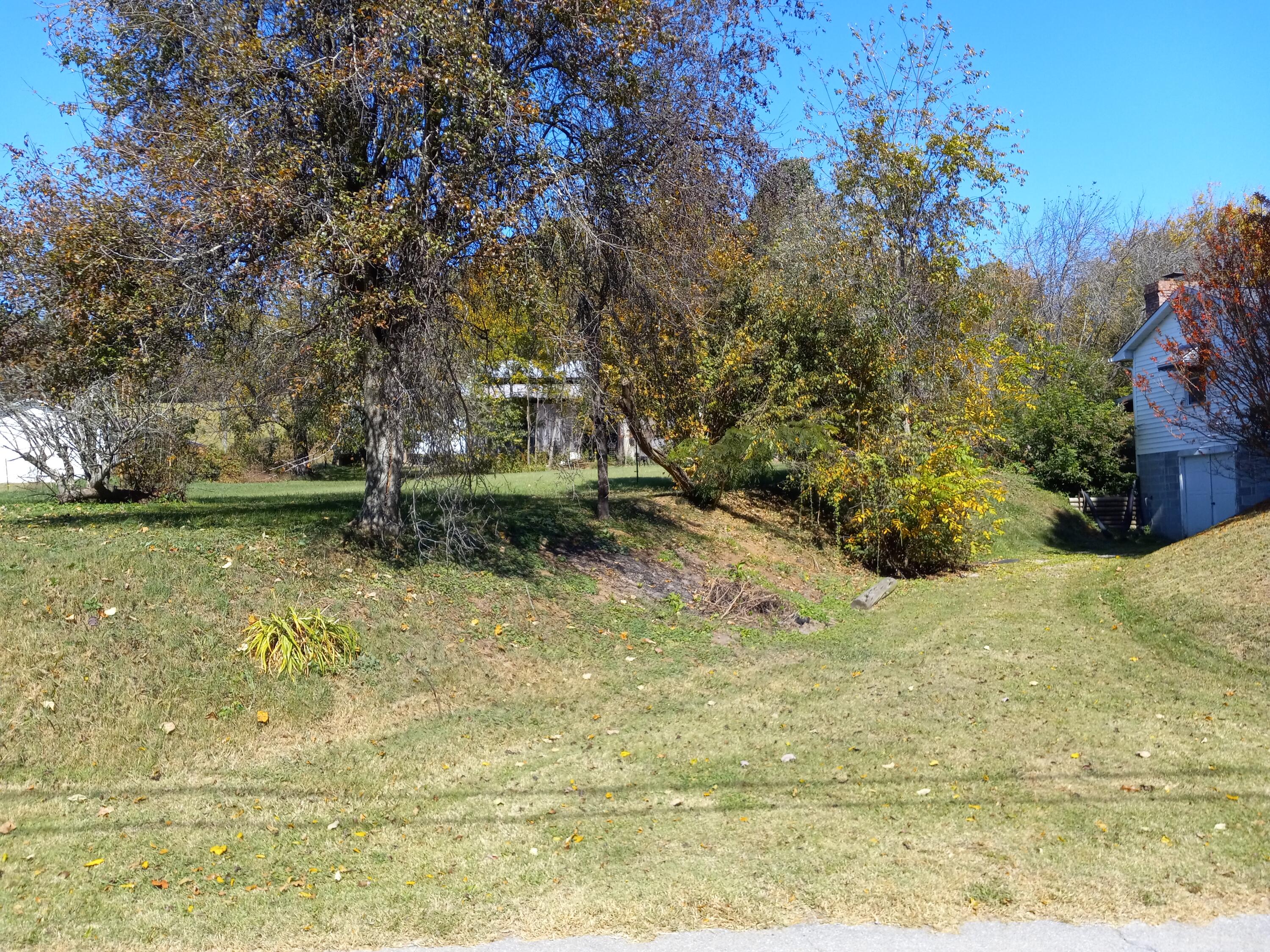 1005 Island Road Blountville, TN 37617 - Photo 4 of 17 20221014_122508