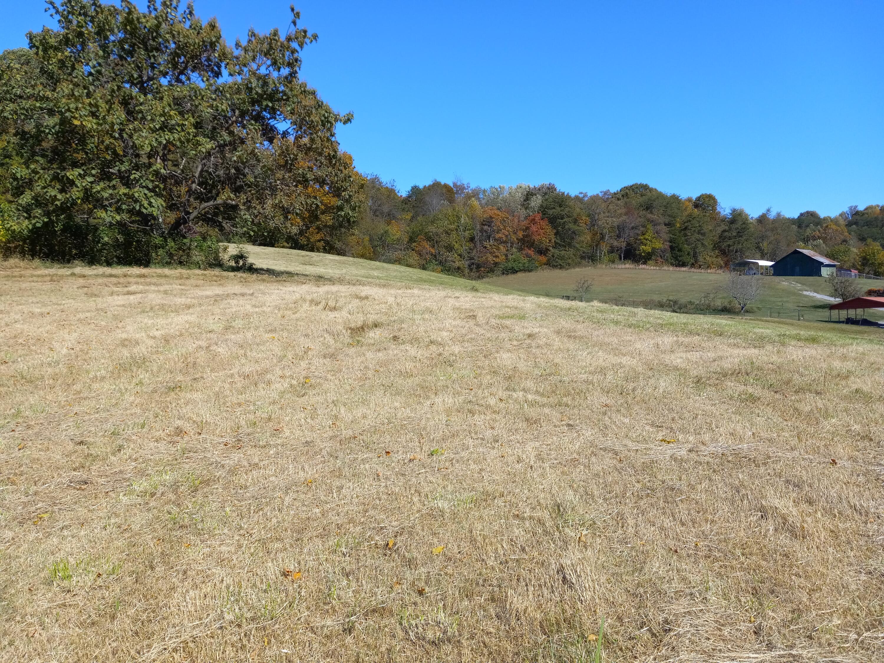 1005 Island Road Blountville, TN 37617 - Photo 7 of 17 20221014_122233