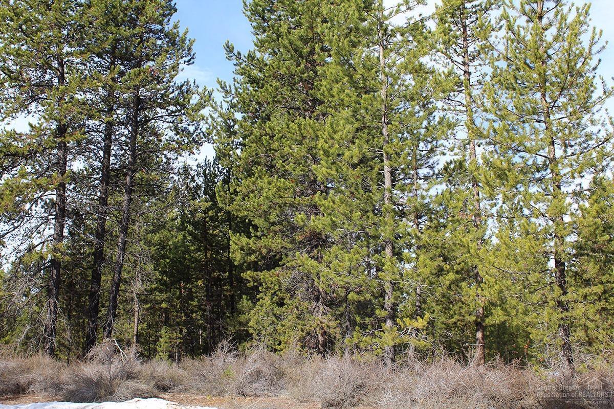 1600 Gracies Road Gilchrist, OR 97737 - Photo 3 of 8 Gallery Image 3