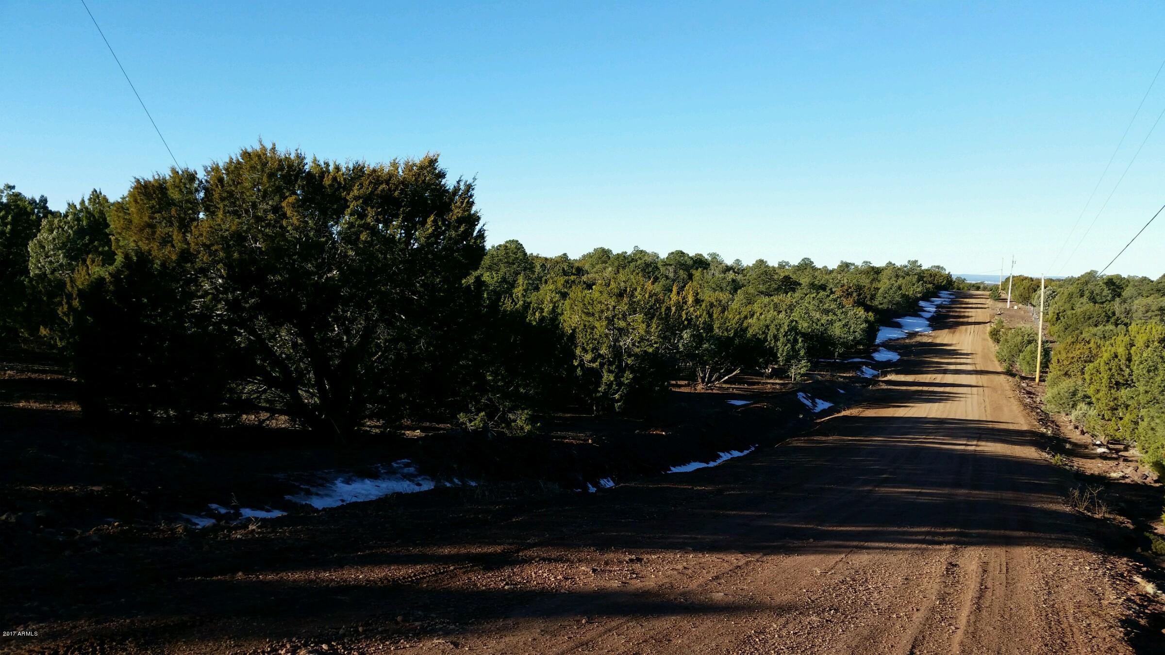Lot 33 Ridge View Drive, Unit 33 Concho, AZ 85924 - Photo 4 of 5 road view