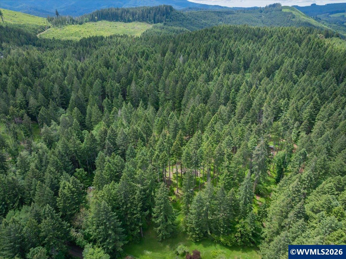 23161 Old Peak Road Philomath, OR 97370 - Photo 45 of 49
