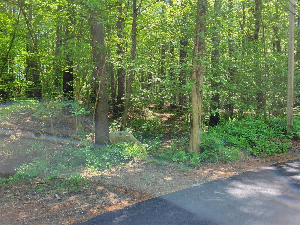 Lot 5 Daniels Road Dudley, MA 01571 - Photo 3 of 8