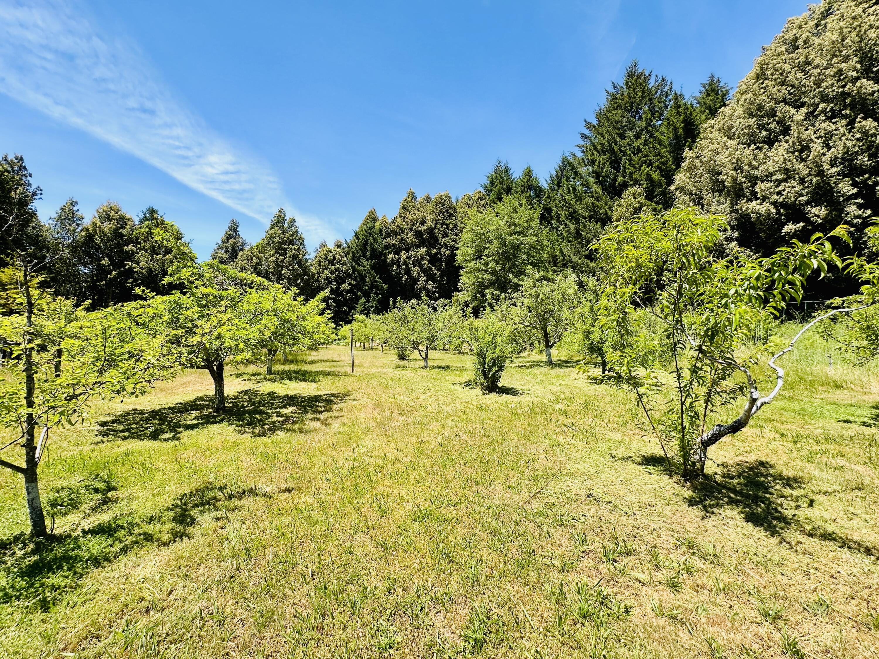 5500 Goodman Ranch Road Garberville, CA 95542 - Photo 121 of 153