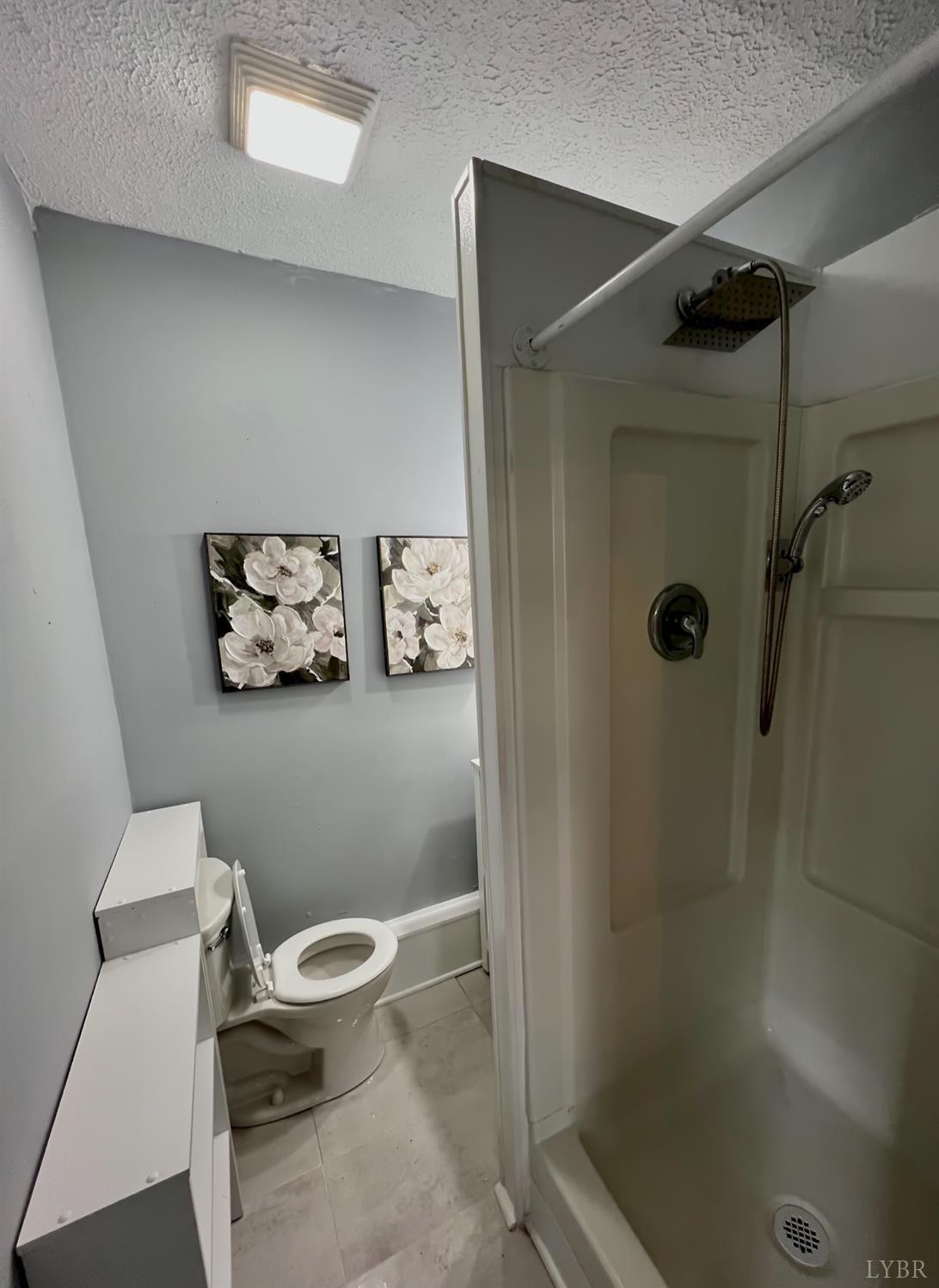 1284 Lynch Road Altavista, VA 24517 - Photo 51 of 65 Gallery Image 51