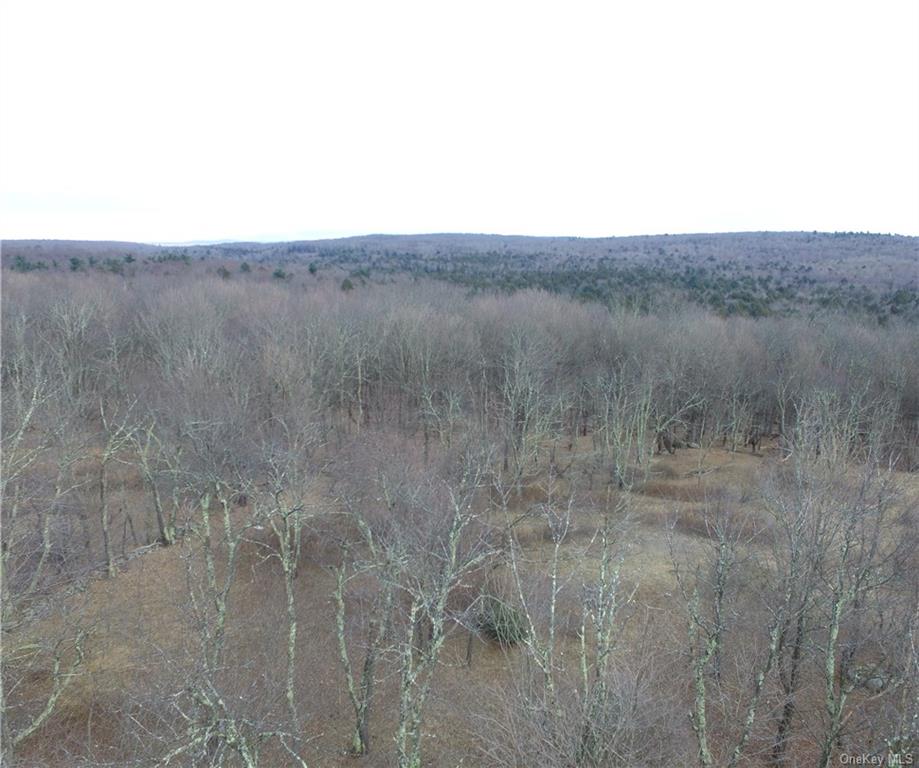 58 Cty Highway Fallsburg, NY 12733 - Photo 1 of 5 a view of a dry field