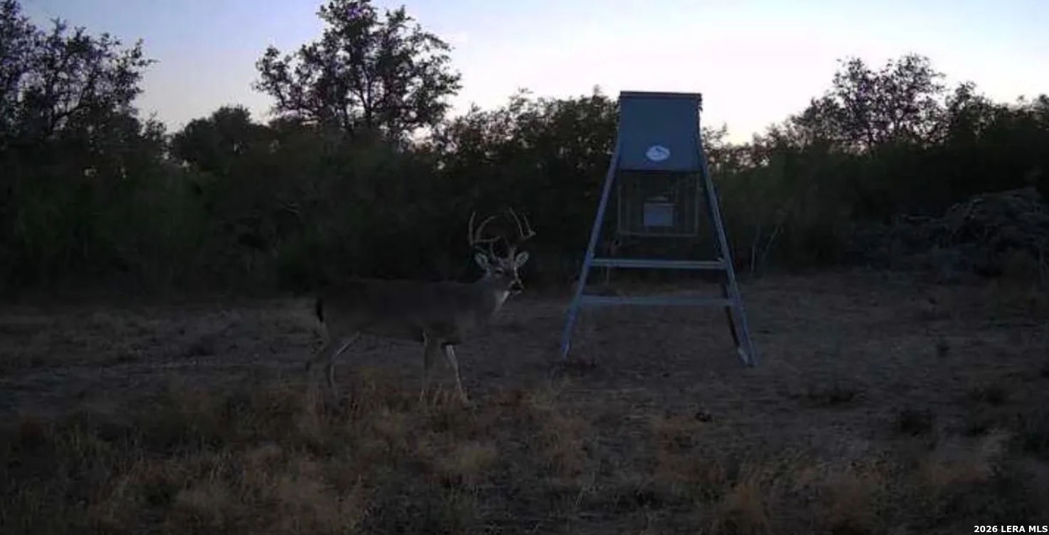 0 Charco Road Beeville, TX 78102 - Photo 12 of 13