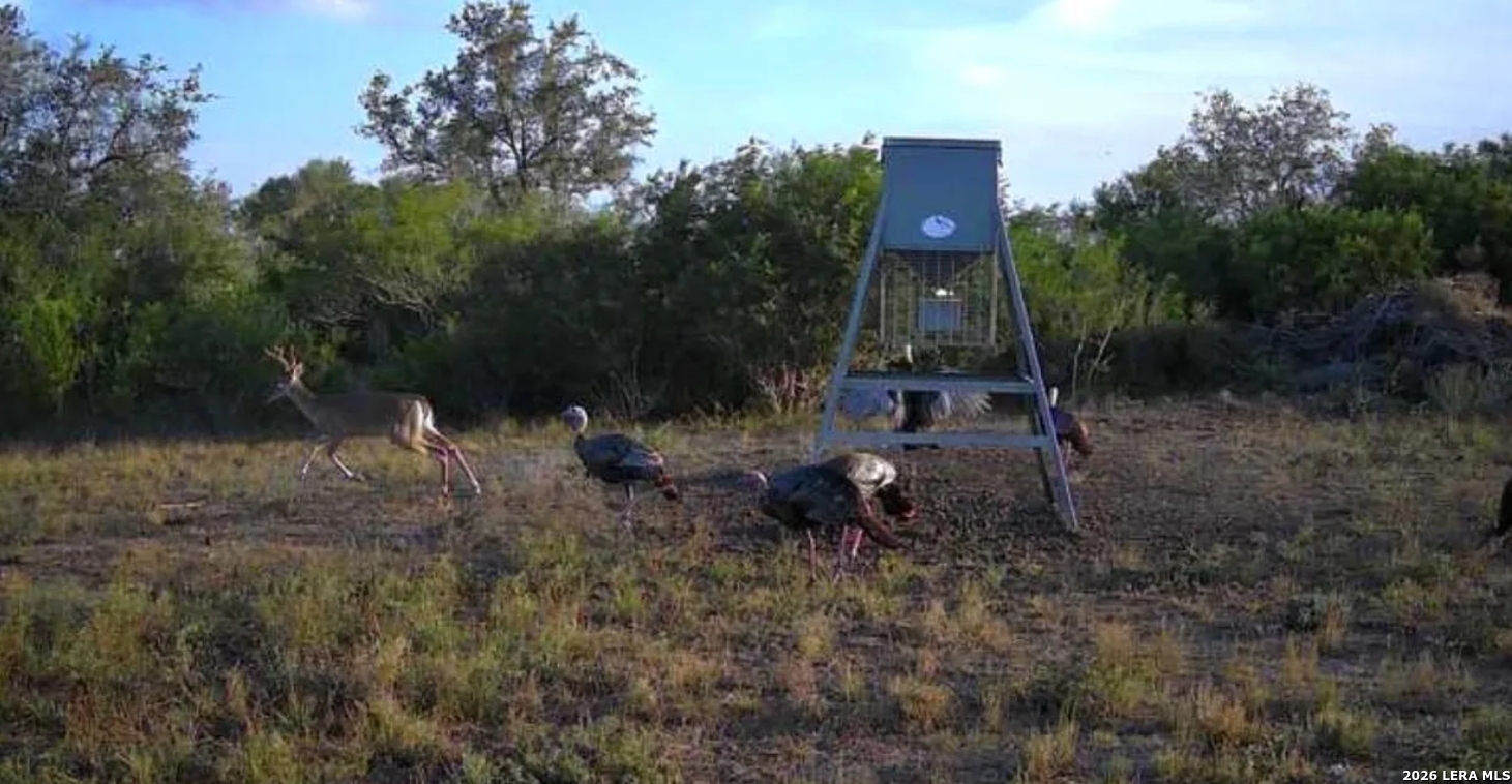 0 Charco Road Beeville, TX 78102 - Photo 13 of 13