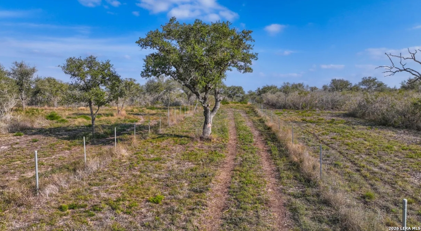 0 Charco Road Beeville, TX 78102 - Photo 4 of 13