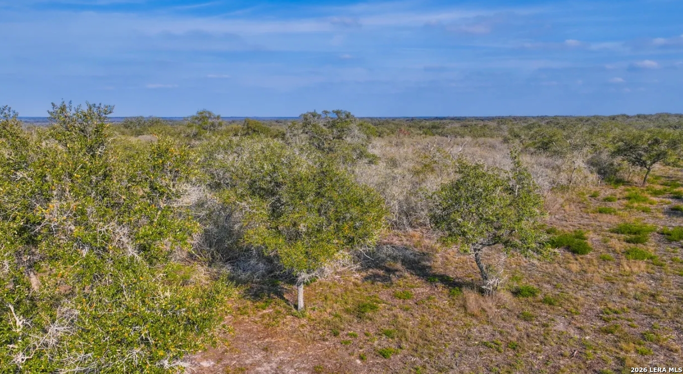 0 Charco Road Beeville, TX 78102 - Photo 7 of 13