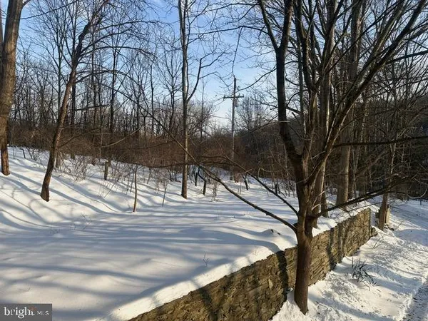a view of a backyard of the house
