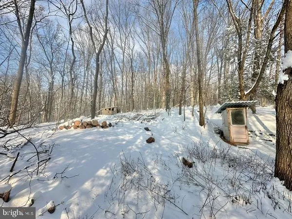 a view of a backyard of the house