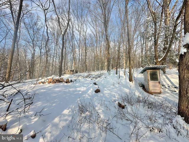 696 Dunkels Church Road Kutztown, PA 19530 - Photo 10 of 39 a view of a backyard of the house