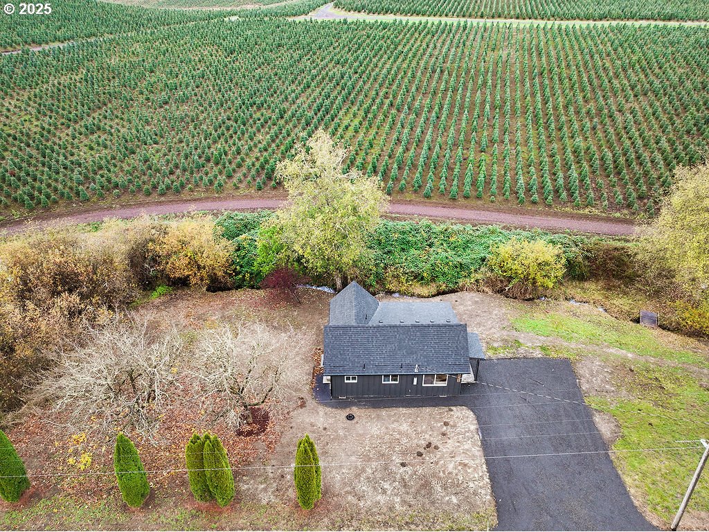 251 Swofford Road Mossyrock, WA 98564 - Photo 36 of 38