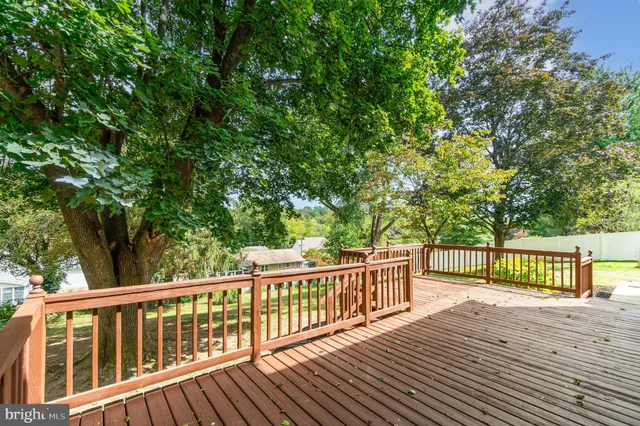 a view of deck with a large trees