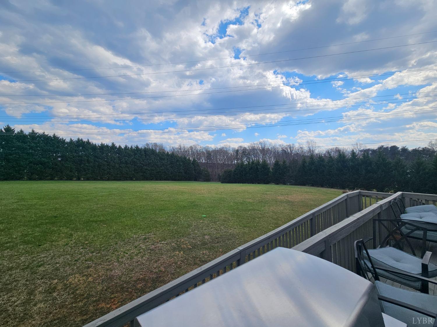 1390 Jacobs Road Hurt, VA 24563 - Photo 29 of 30 a view of a green field with clear sky