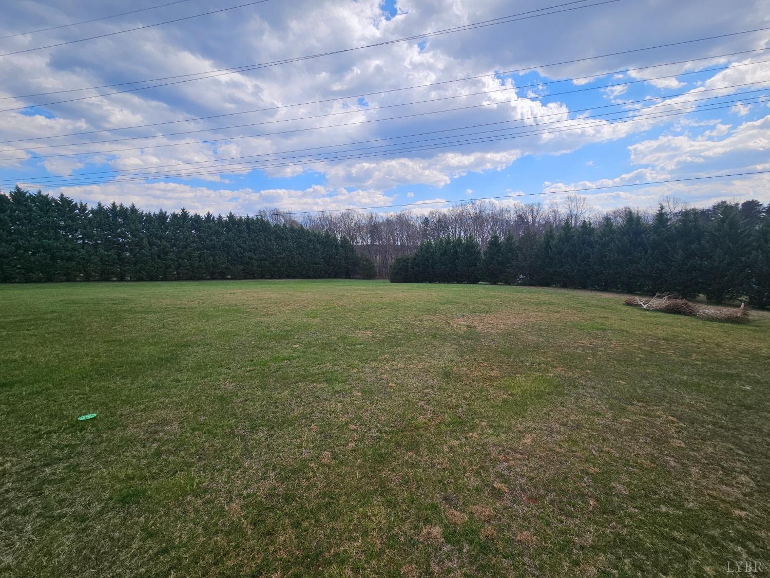 1390 Jacobs Road Hurt, VA 24563 - Photo 30 of 30 a view of a field with an outdoor space