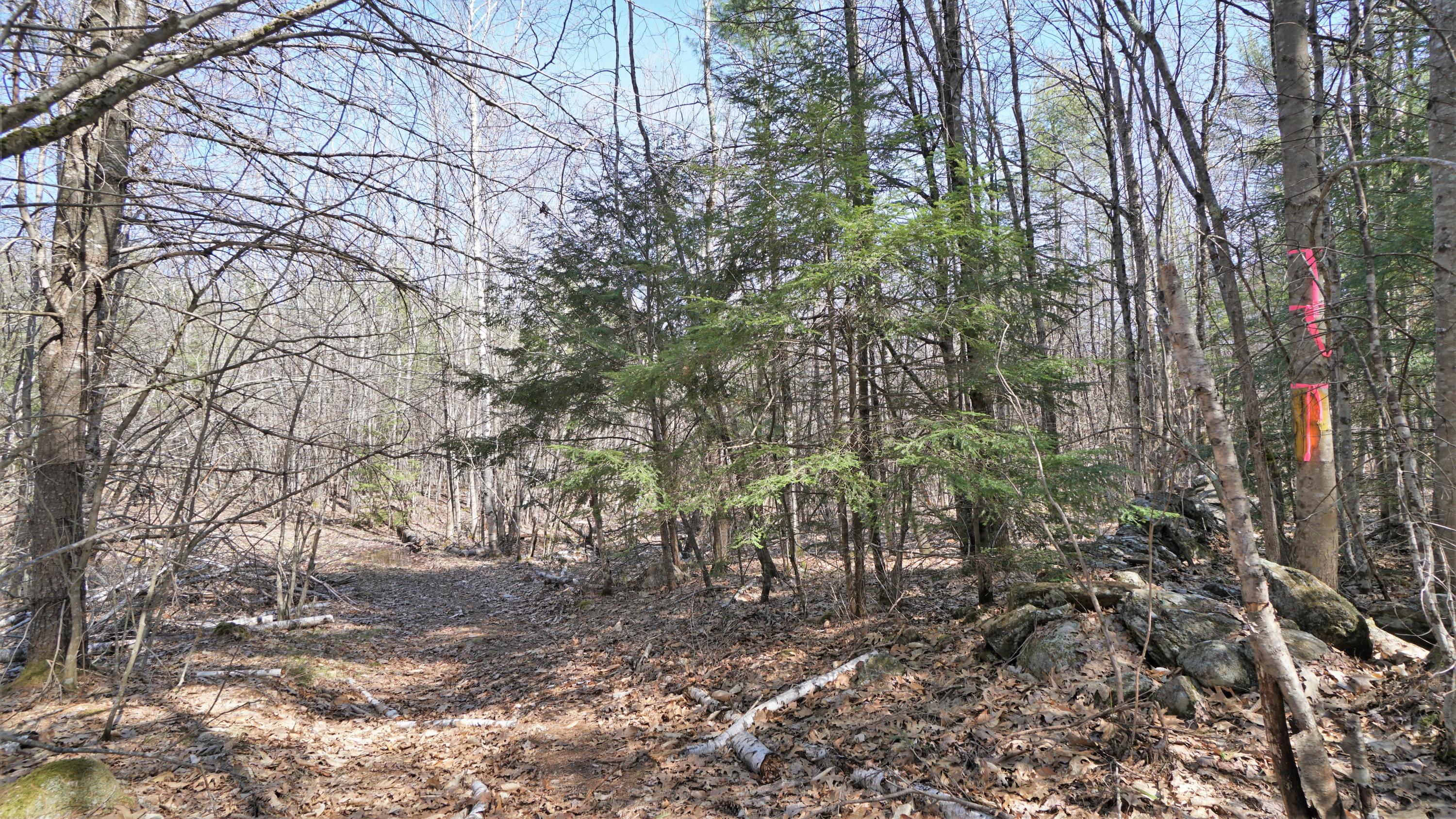 19 Edgecomb Road Acton, ME 04001 - Photo 13 of 21 DSC02787