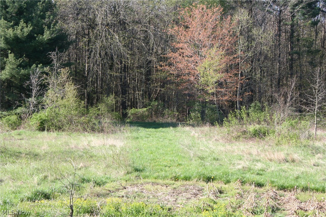 37051 Neff Road Grafton, OH 44044 - Photo 6 of 15 Gallery Image 6