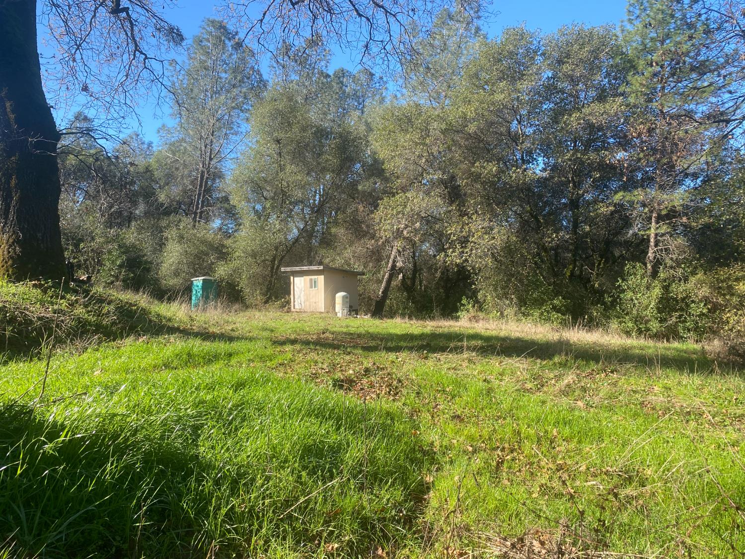 16194 Vierra Road Rackerby, CA 95972 - Photo 4 of 19 Gallery Image 4