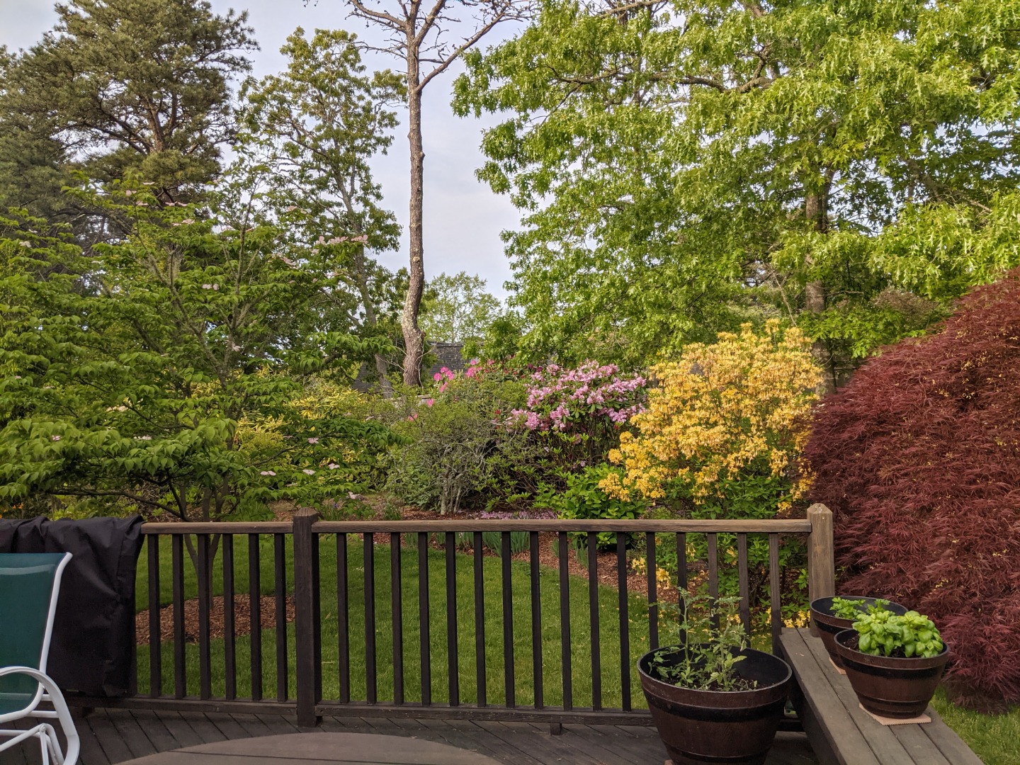 26 Bijah's Way Chilmark, MA 02535 - Photo 18 of 25