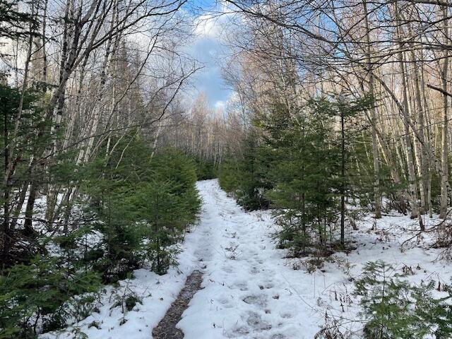 M7-l4 Ward Ridge Road Wellington, ME 04942 - Photo 2 of 14 IMG_8631