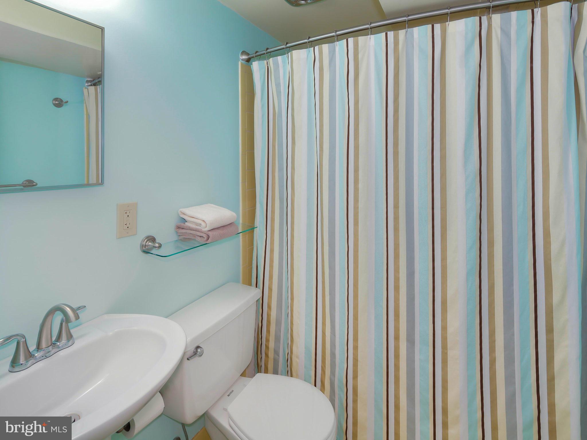 11712 Blue Smoke Trail Reston, VA 20191 - Photo 23 of 30 Bath