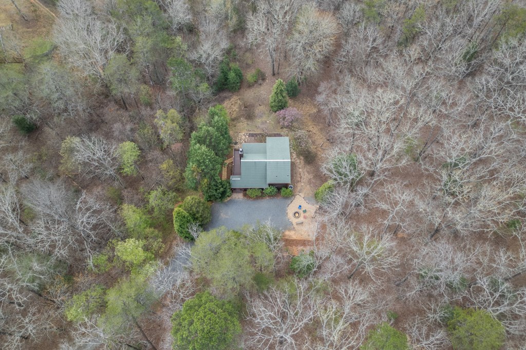 1204 Brookhaven Lane Blue Ridge, GA 30513 - Photo 36 of 44