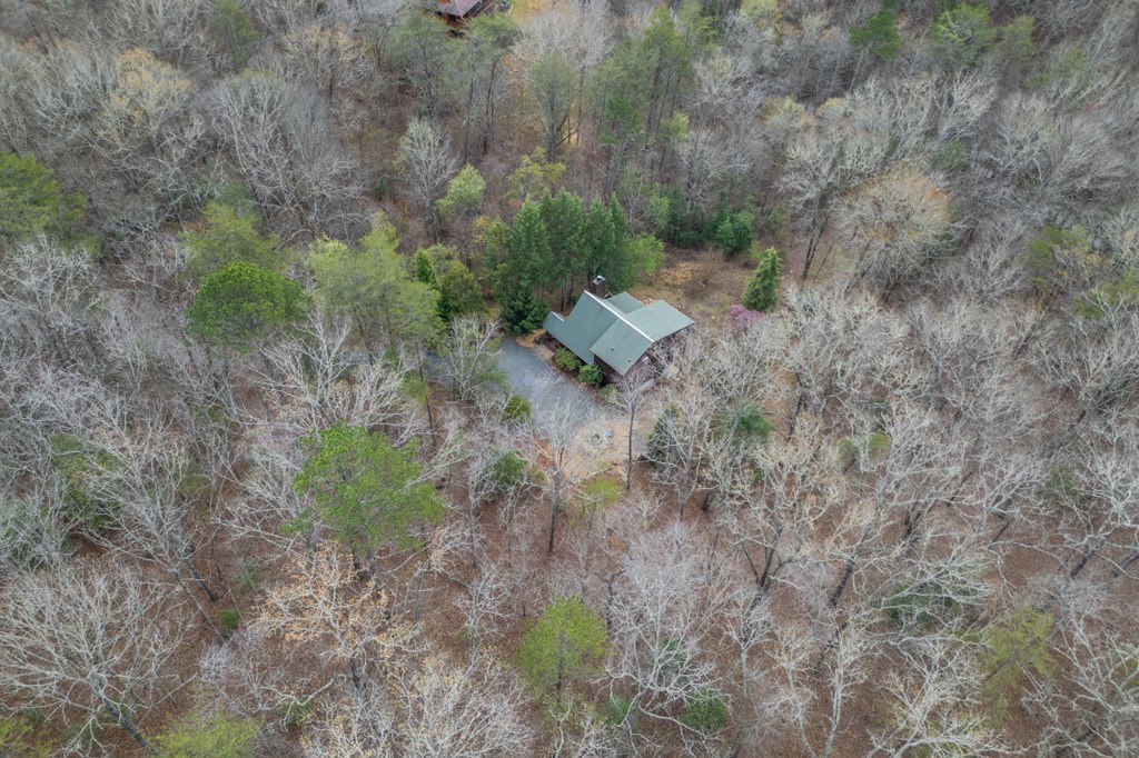 1204 Brookhaven Lane Blue Ridge, GA 30513 - Photo 37 of 44