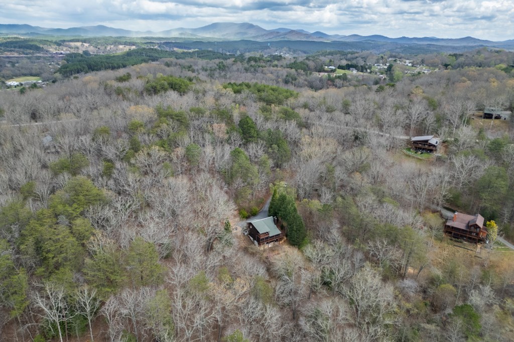 1204 Brookhaven Lane Blue Ridge, GA 30513 - Photo 38 of 44