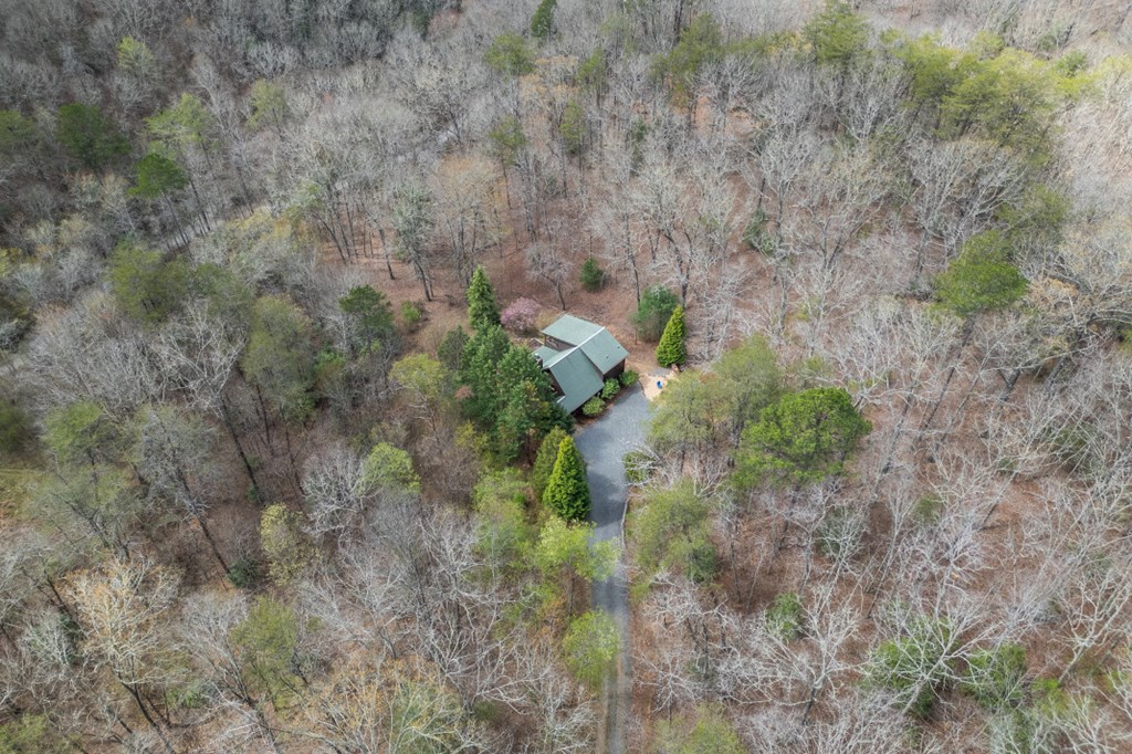 1204 Brookhaven Lane Blue Ridge, GA 30513 - Photo 39 of 44