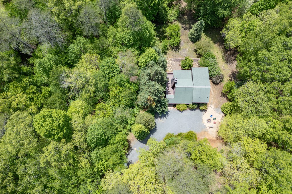1204 Brookhaven Lane Blue Ridge, GA 30513 - Photo 40 of 44