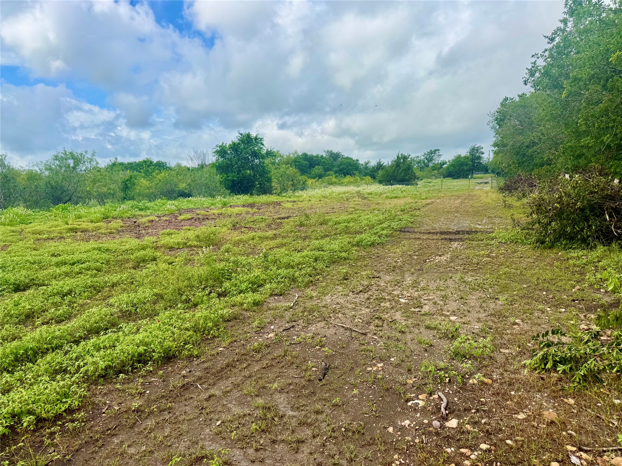 0 Engelke Road Kyle, TX 78640 - Photo 3 of 16 A verdant, open lot awaits your vision, bordered by a natural tree line under an expansive sky.