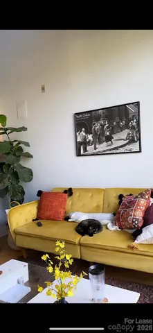 $2,000 | 115 East Park Avenue, Unit 423, Charlotte, NC 28203