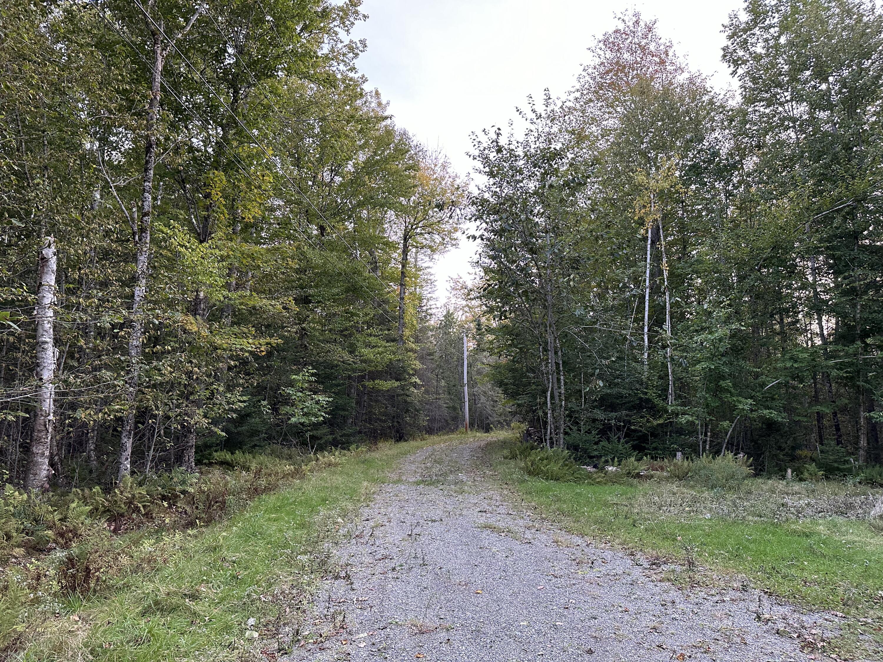 1403 Bucksmills Road Bucksport, ME 04416 - Photo 5 of 11 looking back to the road