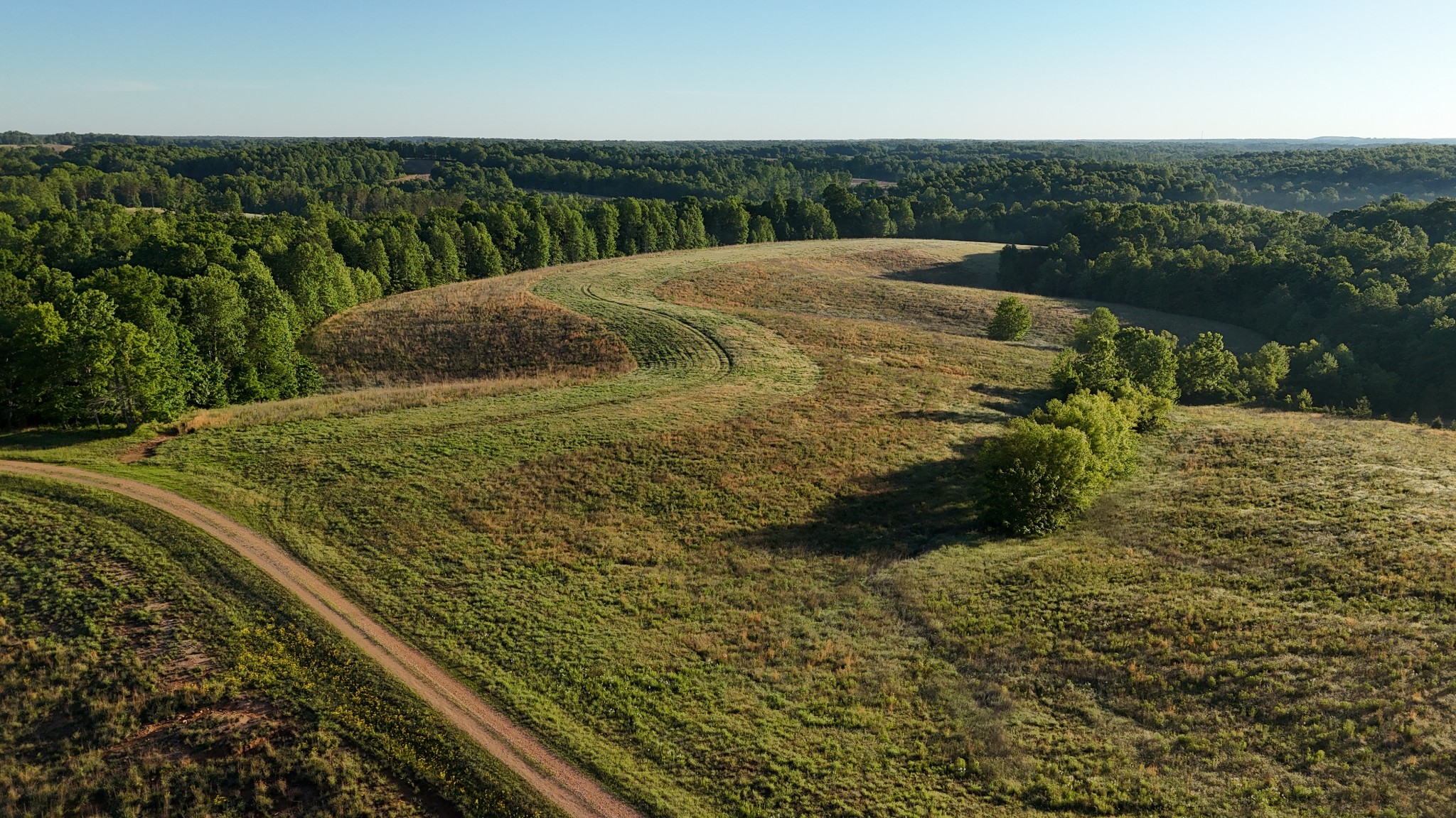 0 Seven 7 Mile Ridge Road Indian Mound, TN 37079 - Photo 25 of 27