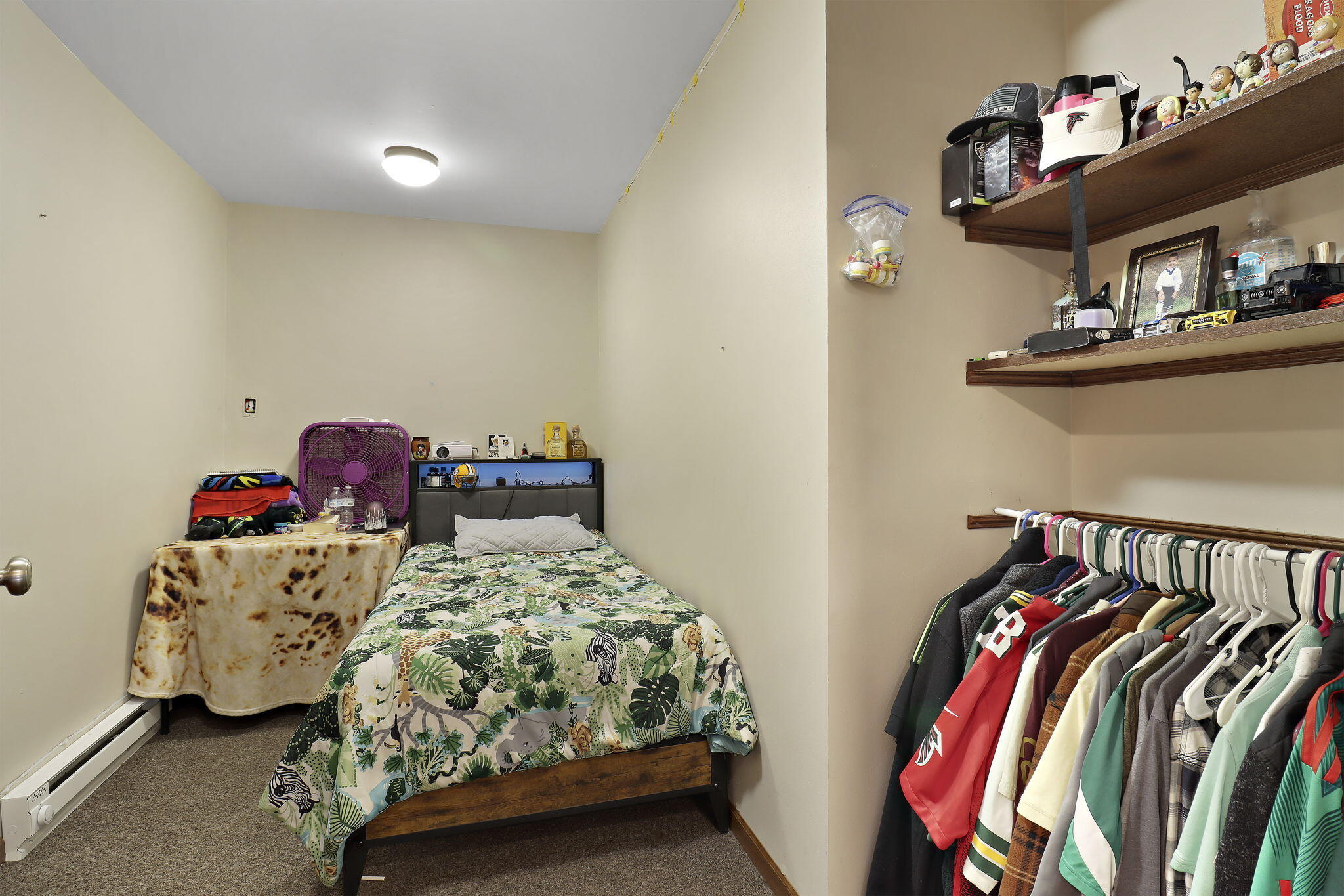 7041 Townline Road Norway, WI 53185 - Photo 21 of 35 21-web-or-mls-7041 Town Line Rd, Waterfo