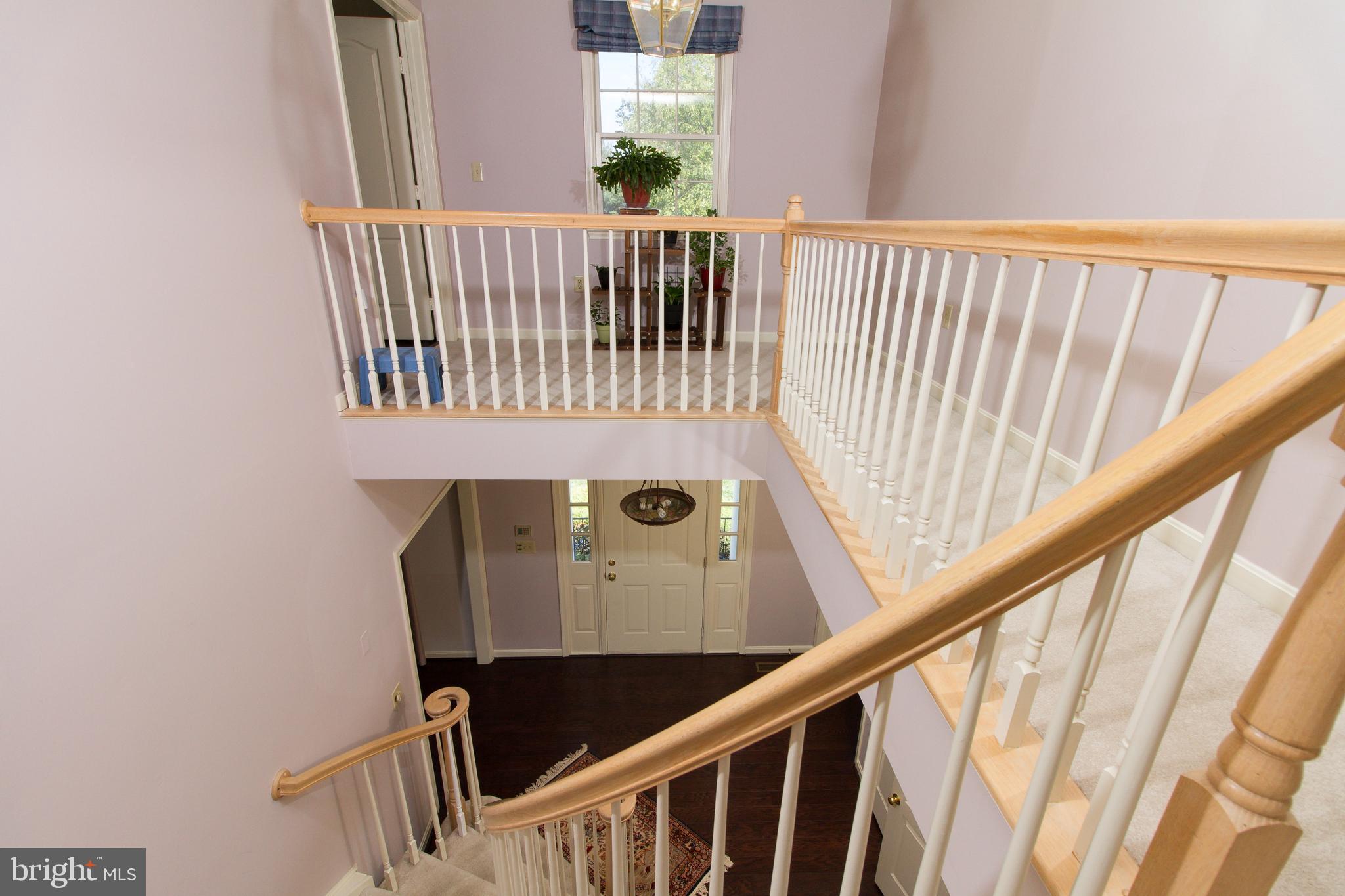 13118 Riviera Terrace Silver Spring, MD 20904 - Photo 16 of 36 Gallery Image 16