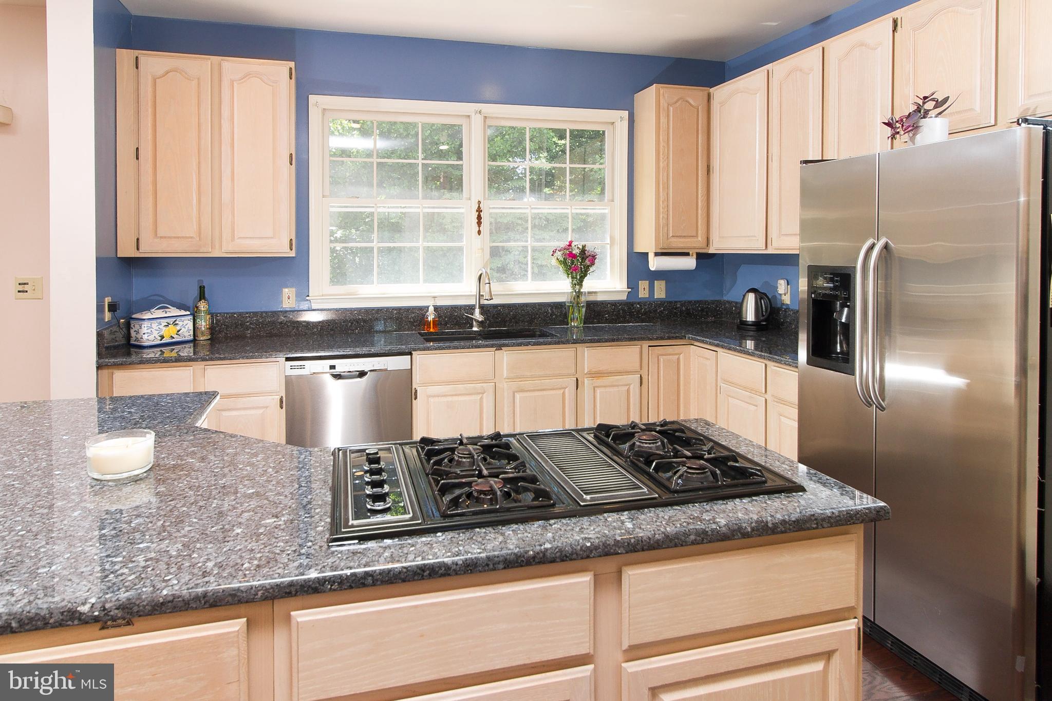 13118 Riviera Terrace Silver Spring, MD 20904 - Photo 9 of 36 Gallery Image 9