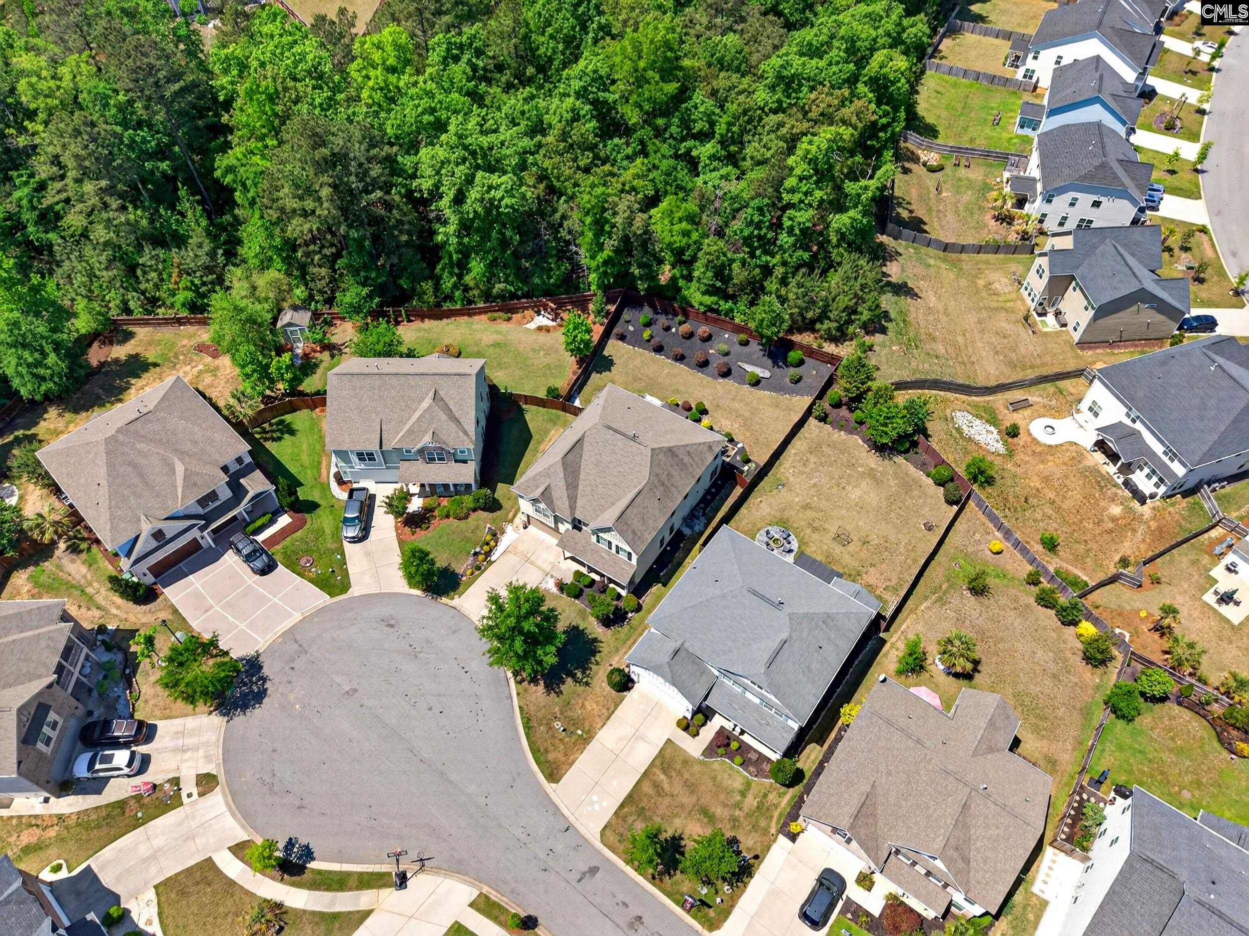 436 Maria Posada Court Chapin, SC 29036 - Photo 7 of 73