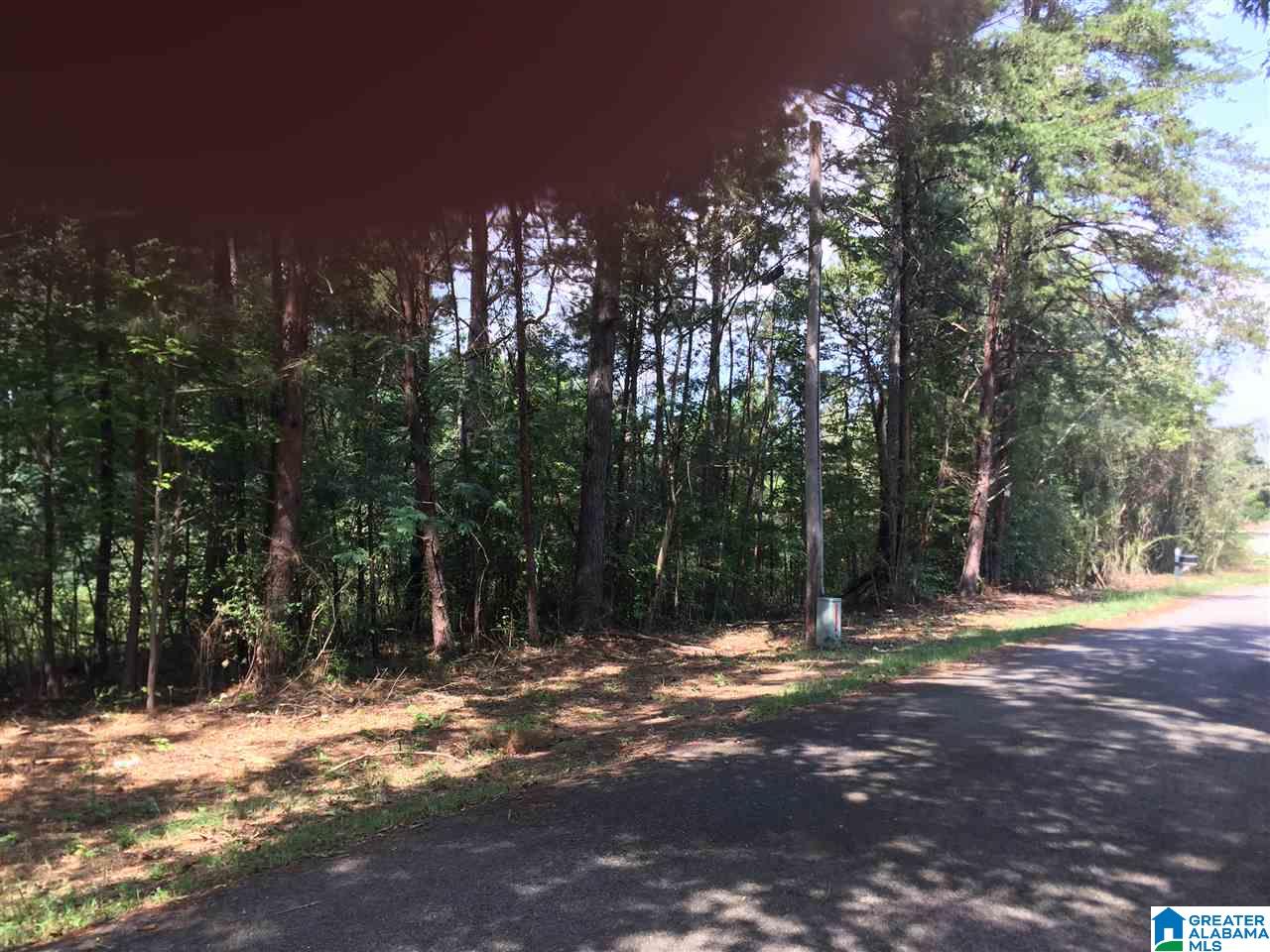 8095 Fishing Camp Road, Unit 36 001 Mulga, AL 35118 - Photo 5 of 10