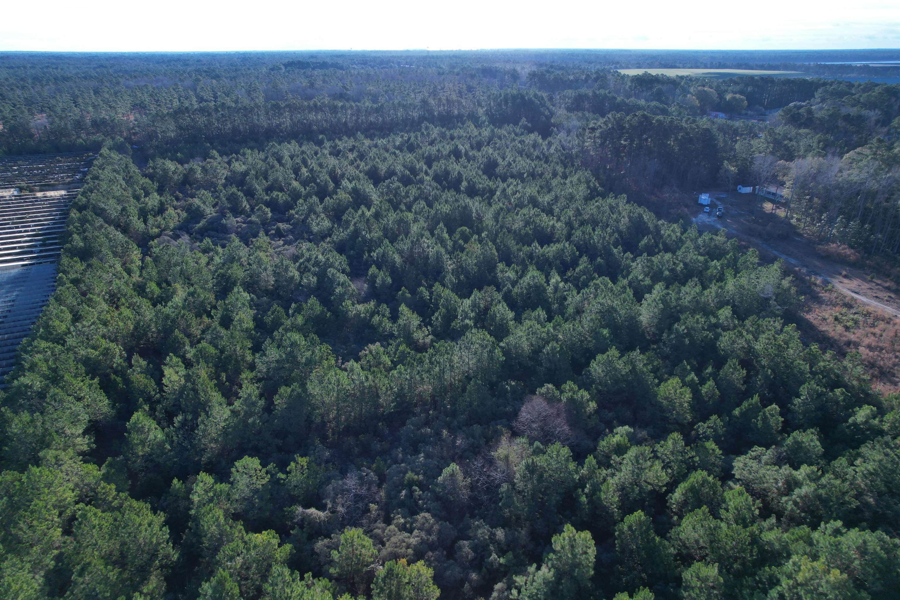 2386 Pennyroyal Road Georgetown, SC 29440 - Photo 2 of 23 Gallery Image 2