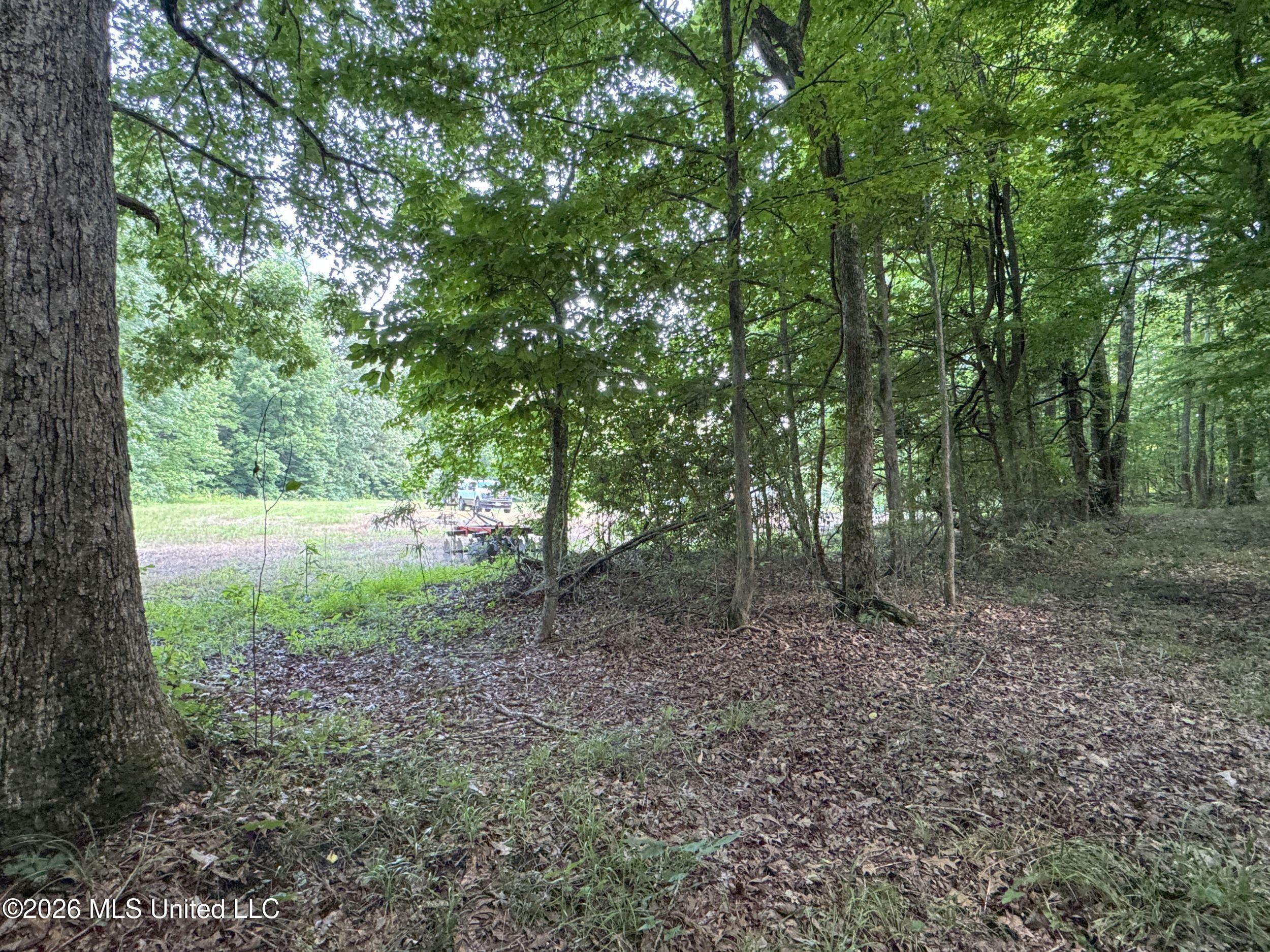884 Avant Road Crenshaw, MS 38621 - Photo 153 of 154 6dbyicr114